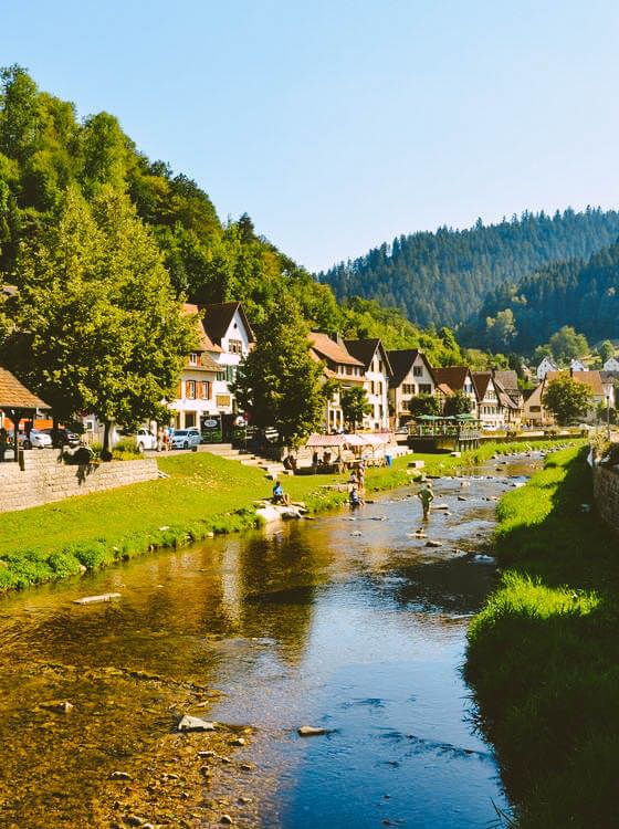 Black Forest National Park
